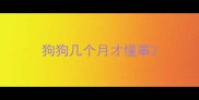 狗狗几个月才懂事