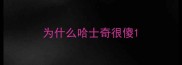 为什么哈士奇很傻