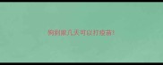 狗到家几天可以打疫苗