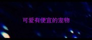 可爱有便宜的宠物
