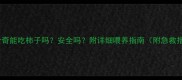 哈士奇能吃柿子吗安全吗附详细喂养指南附急救措施