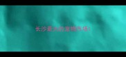 长沙最大的宠物市场