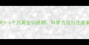 比熊犬3-6个月黄金训练期科学方法与注意事项全
