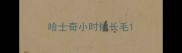 哈士奇小时候长毛