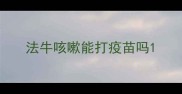 法牛咳嗽能打疫苗吗