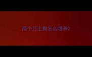 两个月土狗怎么喂养