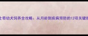 哈士奇幼犬饲养全攻略从月龄到疾病预防的12项关键指南