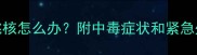 狗狗误食桃核怎么办附中毒症状和紧急处理指南