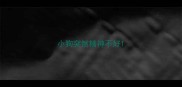 小狗突然精神不好