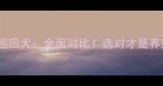 金毛vs金毛巡回犬全面对比选对才是养宠第一步