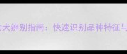 拉布拉多幼犬辨别指南快速识别品种特征与饲养要点