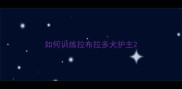 如何训练拉布拉多犬护主