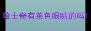 哈士奇有茶色眼睛的吗