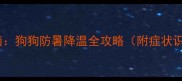 夏季中暑急救指南狗狗防暑降温全攻略附症状识别与预防措施