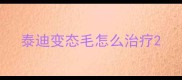 泰迪变态毛怎么治疗