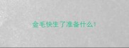 金毛快生了准备什么