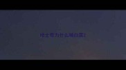 哈士奇为什么啃白菜