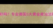 犬瘟热半个月能治好吗专业兽医5大黄金救治法则附真实案例
