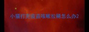 小猫打完疫苗咳嗽拉稀怎么办