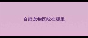 合肥宠物医院在哪里