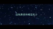 边牧鼻梁和嘴边毛少