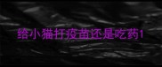 给小猫打疫苗还是吃药