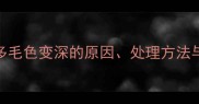 科学拉布拉多毛色变深的原因处理方法与潜在健康隐患