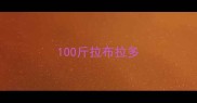 100斤拉布拉多