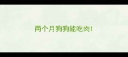 两个月狗狗能吃肉