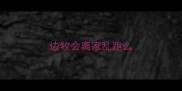 边牧会离家乱跑么