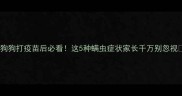 狗狗打疫苗后必看这5种螨虫症状家长千万别忽视