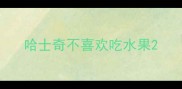 哈士奇不喜欢吃水果