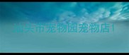 汕头市宠物园宠物店