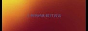小狗狗啥时候打疫苗