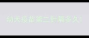 幼犬疫苗第二针隔多久