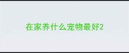 在家养什么宠物最好