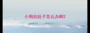 小狗拉肚子怎么办啊