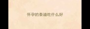 怀孕的泰迪吃什么好