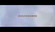 最便宜的宠物宠物蜥蜴