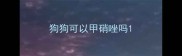 狗狗可以甲硝唑吗