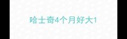 哈士奇4个月好大