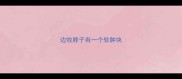 边牧脖子有一个软肿块