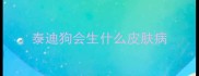 泰迪狗会生什么皮肤病