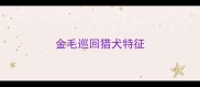 金毛巡回猎犬特征