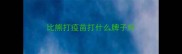 比熊打疫苗打什么牌子好