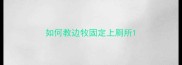 如何教边牧固定上厕所