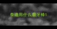 泰迪用什么磨牙棒