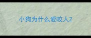 小狗为什么爱咬人