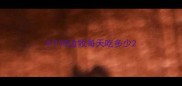 4个月边牧每天吃多少