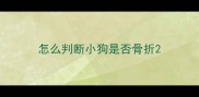 怎么判断小狗是否骨折